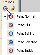 Paint options