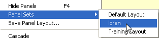 Example of a saved  panel layout in the Panel Sets drop down menu